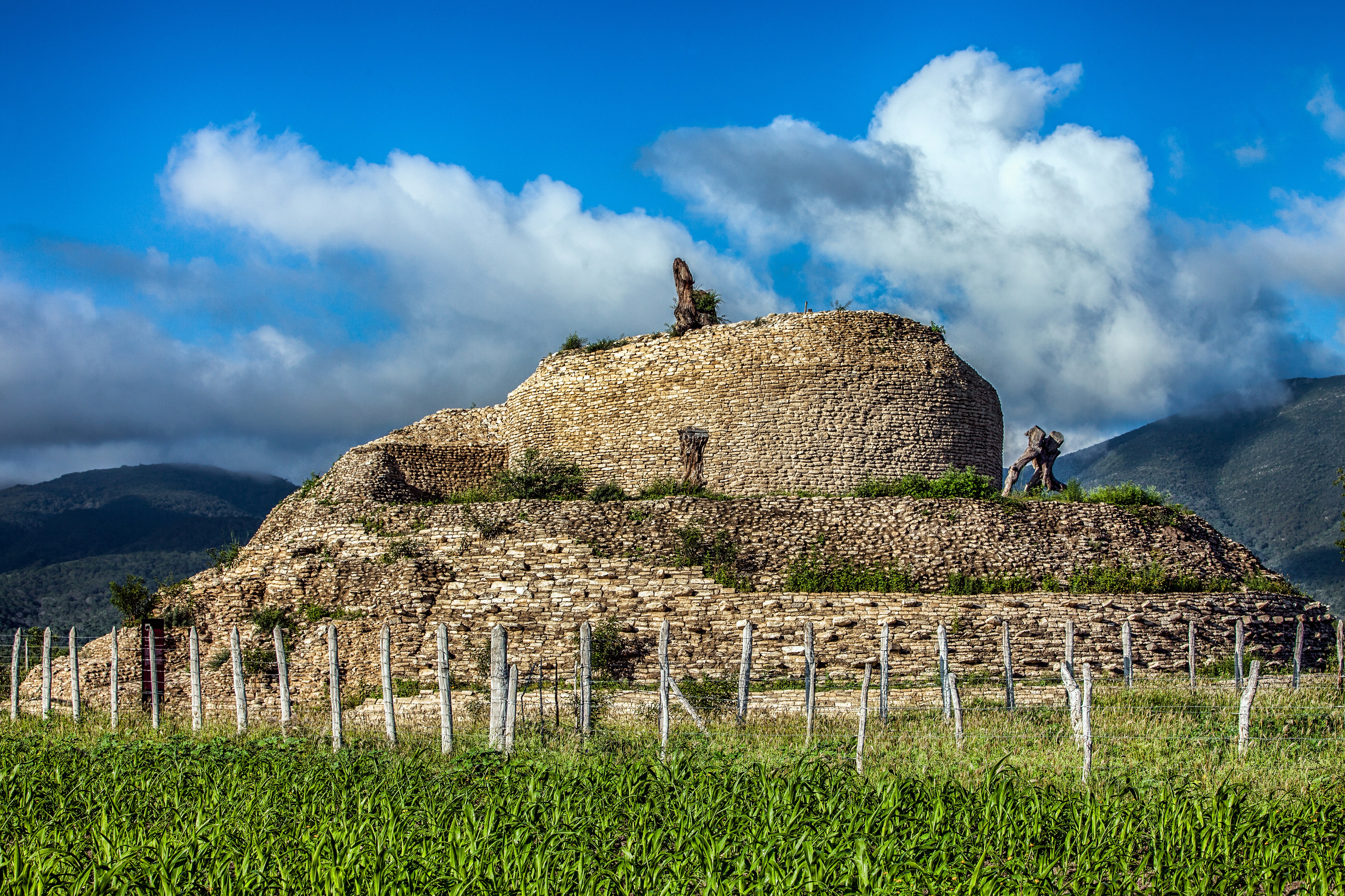 FOTO-01-COMUNICADO-0945-SEDET