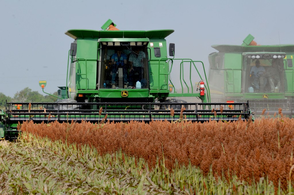 Dan inicio las siembras del ciclo agrícola otoño-invierno&nbsp;2015-2016