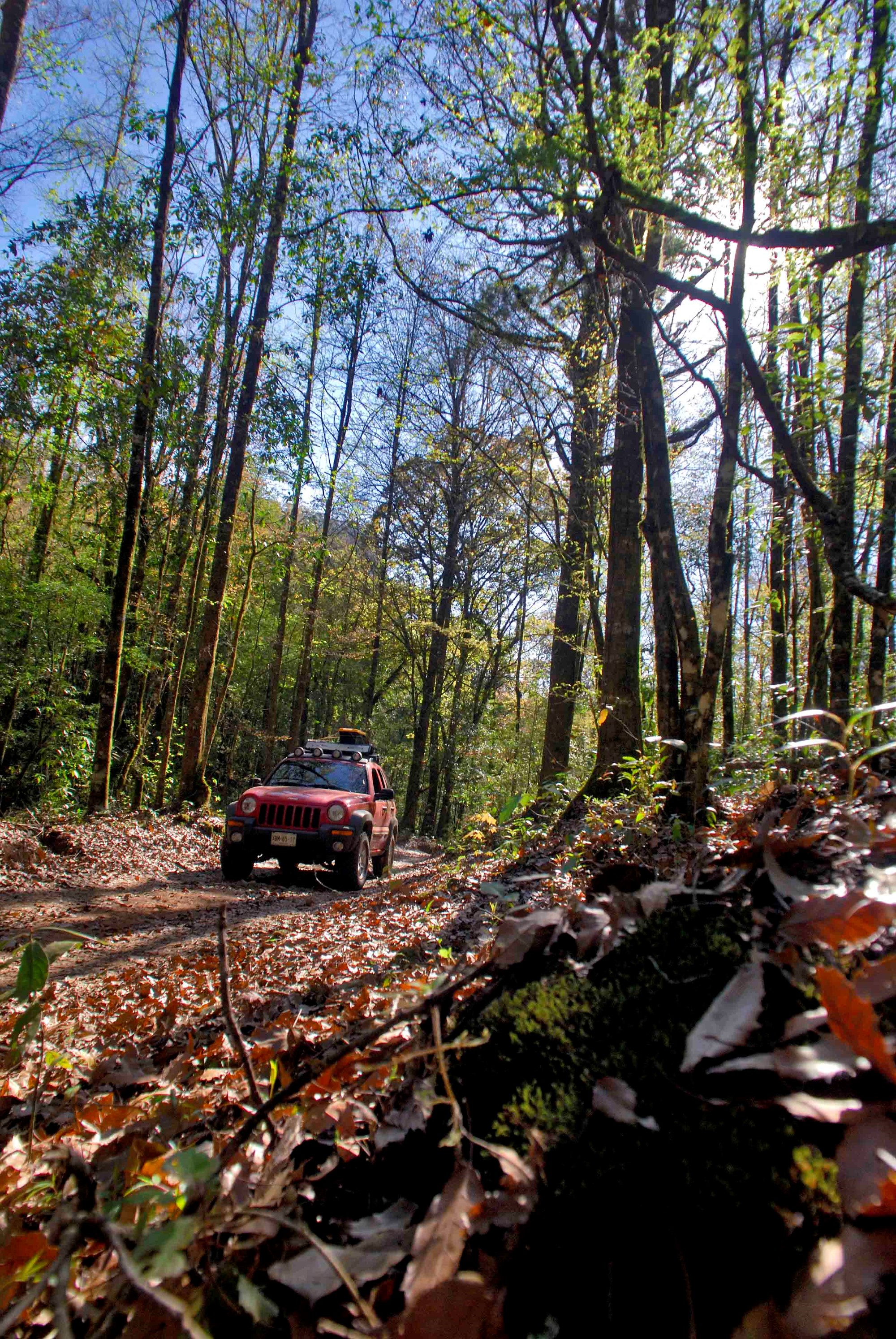 FOTO-06-COMUNICADO-1110-SEDET