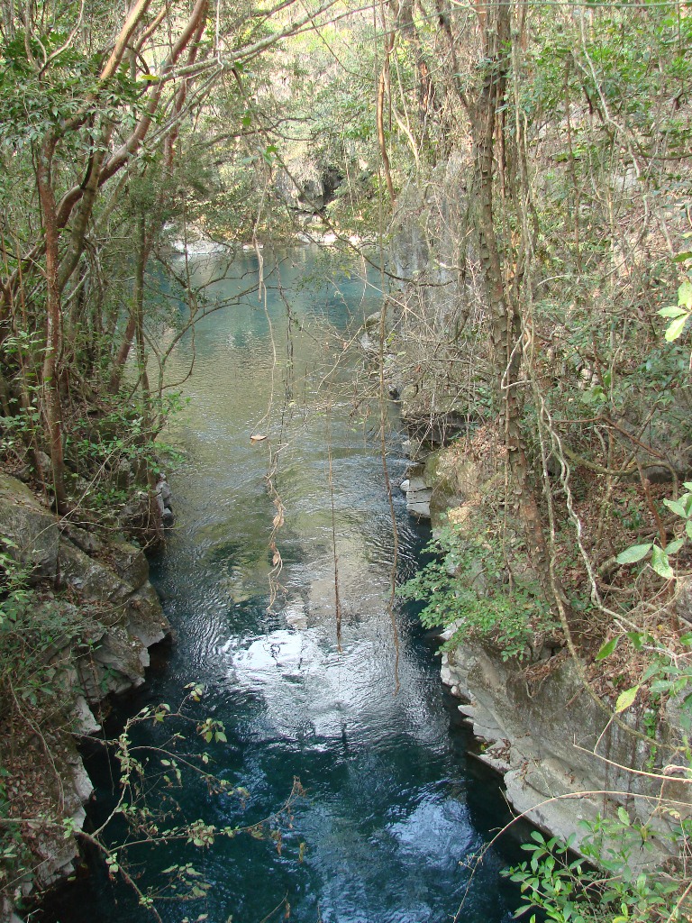 FOTO-01-COMUNICADO-1140-SEDET