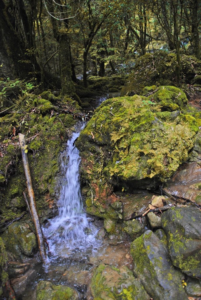 FOTO-04-COMUNICADO-1140-SEDET