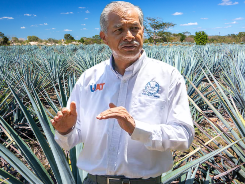 Implementa la UAT manejo sustentable del maguey mezcalero en&nbsp;Miquihuana