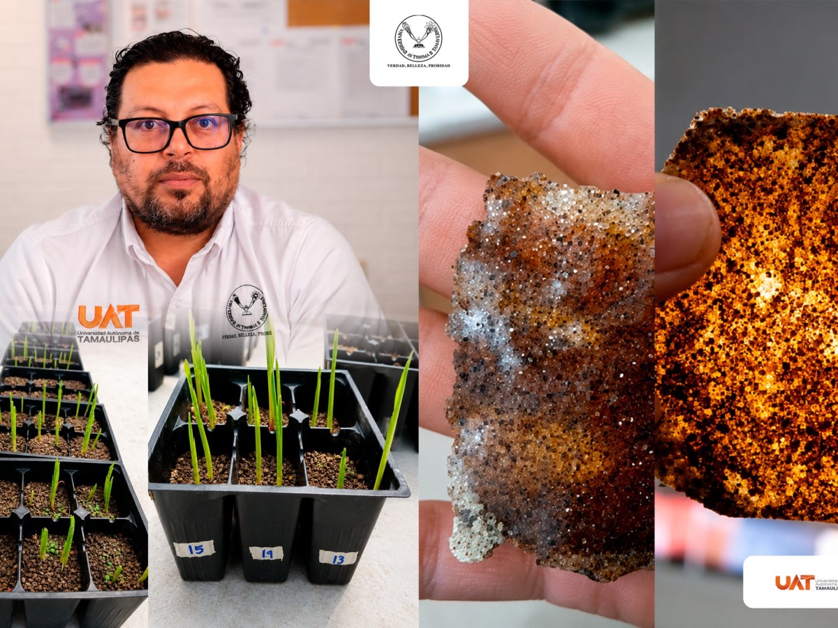 Patenta la UAT bioplásticos que recuperan suelos erosionados 